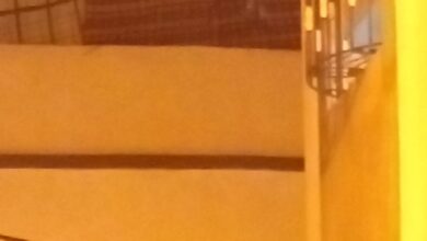 IMG 20261012 WA0150